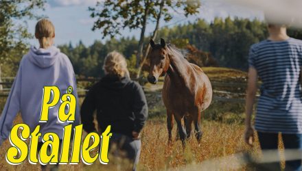 På stallet